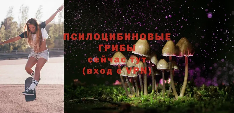 Галлюциногенные грибы Cubensis  Дюртюли 